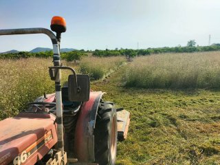 Desbroce con tractor