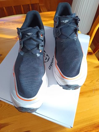 Zapatillas Dynafit Alpine DNA Trail Running