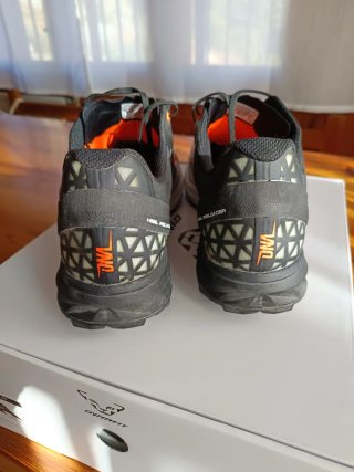 Zapatillas Dynafit Alpine DNA Trail Running