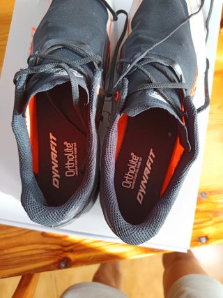 Zapatillas Dynafit Alpine DNA Trail Running