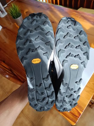 Zapatillas Dynafit Alpine DNA Trail Running
