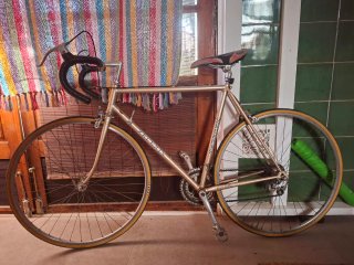Bicicleta GAC Zeleris Clásica Gran Fondo