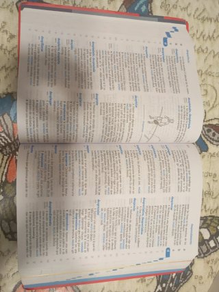 Diccionario Primaria, lengua española