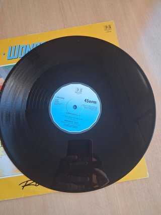 Vinilo Wonderdog Ruff Mix