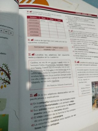 Lengua Castellana, 2 ESO