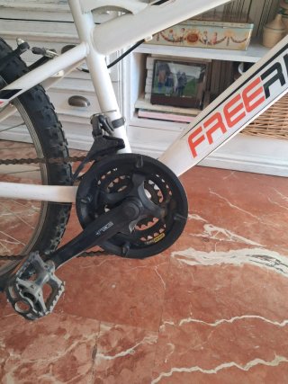 Bicicleta Freerider