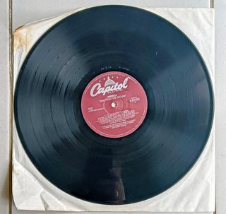 America - View From The Ground Vinile
