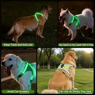Arnés LED perro recargable USB-C, reflectante