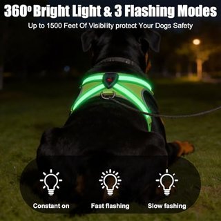 Arnés LED perro recargable USB-C, reflectante