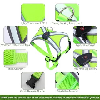 Arnés LED perro recargable USB-C, reflectante
