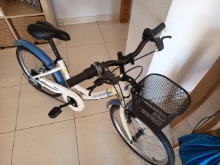Bicicleta infantil DENBIKE 20 pulgadas