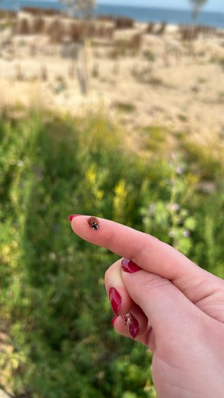 Manicura