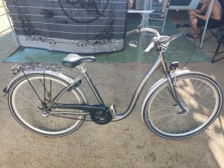 Bicicleta Excelsior Pagoba ND a basso ingresso