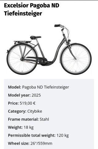 Bicicleta Excelsior Pagoba ND a basso ingresso