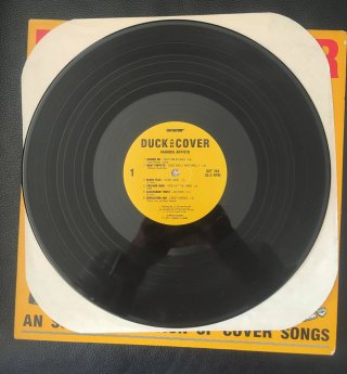 Vinilo Recopilatorio Duck & Cover SST