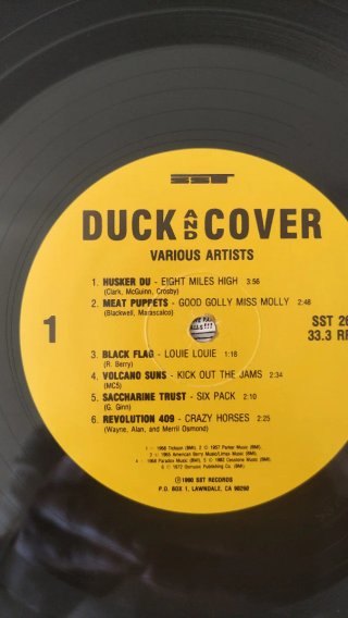 Vinilo Recopilatorio Duck & Cover SST