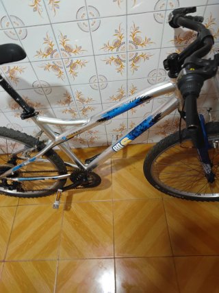 Bicicleta 24 plateada