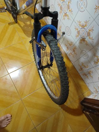 Bicicleta 24 plateada