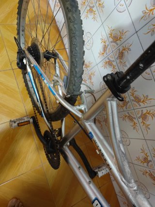 Bicicleta 24 plateada