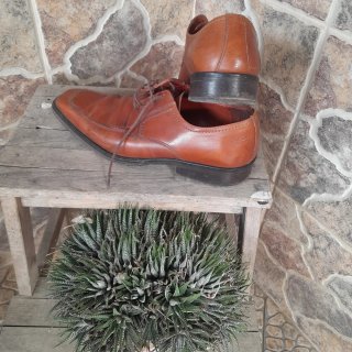 Zapatos de piel Dustin marrones