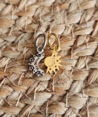 Charm Colgante Divisible Luna y Sol