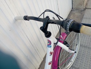 Bicicleta niña 20