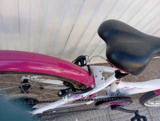 Bicicleta niña 20