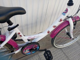 Bicicleta niña 20