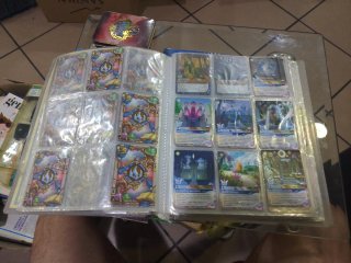 Colección Fantasy Riders Panini: Álbum + Guía