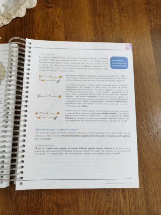 Fundamentos de cosmetología pívot point