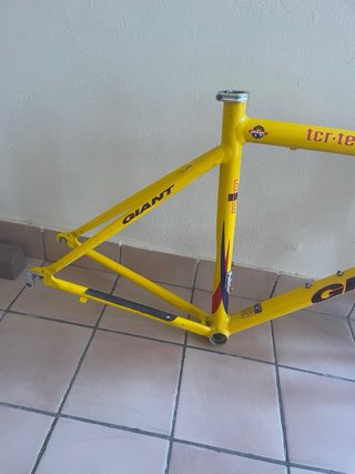 Cuadro Giant TCR Team