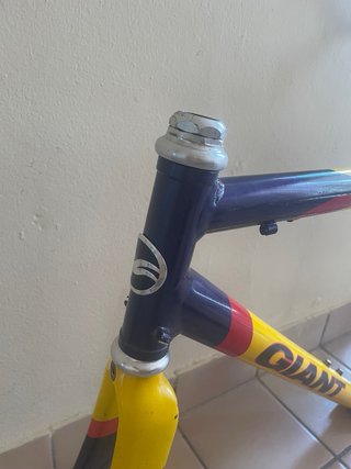 Cuadro Giant TCR Team