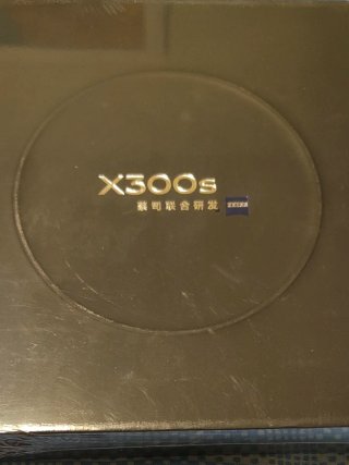 Vivo X300S