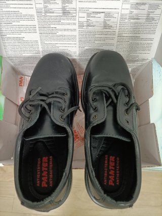 Zapatos de seguridad PANTER Talla 38