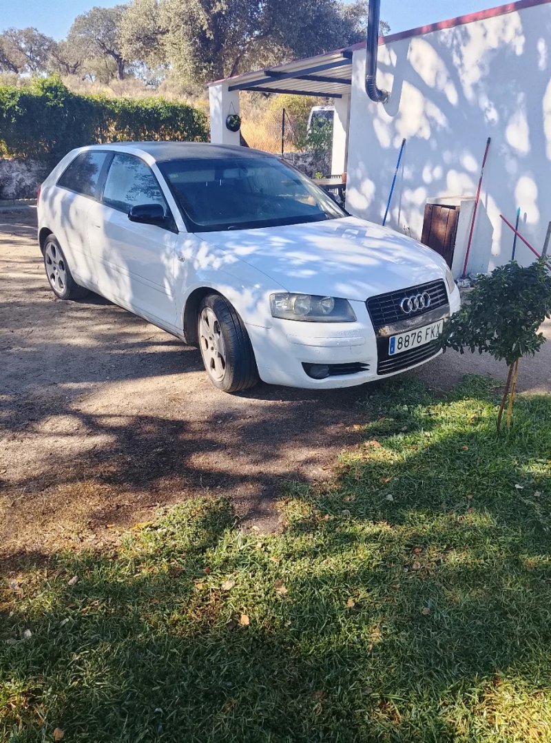 Audi A3 2007 - foto 1