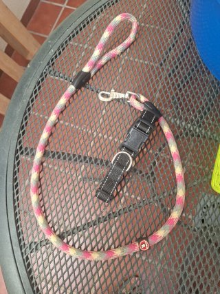 Collar y Correa para Perro