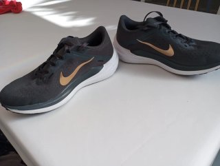 Deportivas Nike Winflo 10 Negro/Dorado