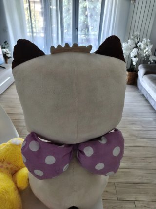 Pupazzi morbidi: gatto e paperelle