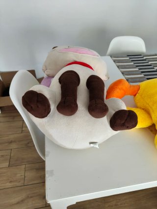 Pupazzi morbidi: gatto e paperelle