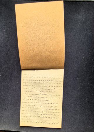 Quaderno Vintage Stenografia