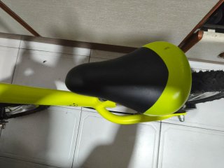 Bicicleta infantil verde