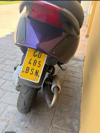 Zip por agua morado
