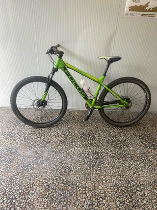 Bicicleta de Montaña Focus Verde
