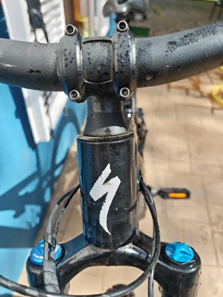 Specialized Turbo Levo Talla S2 Mullet