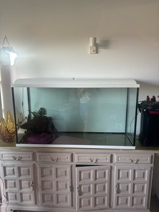 Acuario grande con filtro