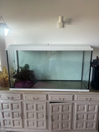 Acuario grande con filtro