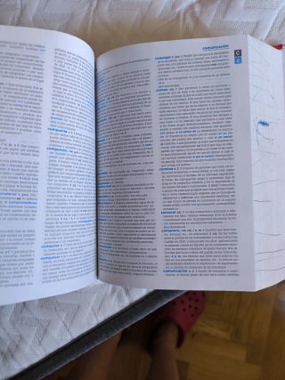 Diccionario de Secundaria y Bachillerato