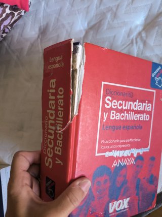 Diccionario de Secundaria y Bachillerato