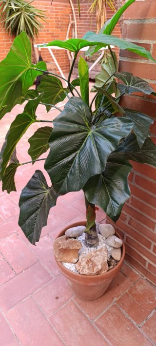 Planta Artificial Grande con Maceta