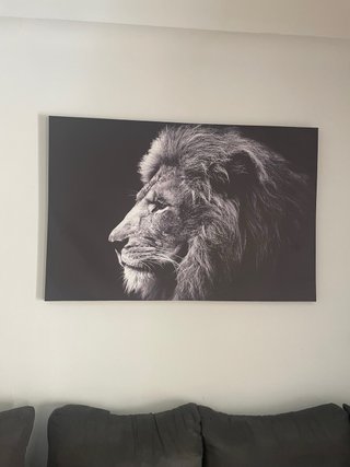 Cuadro de León en Blanco y Negro
